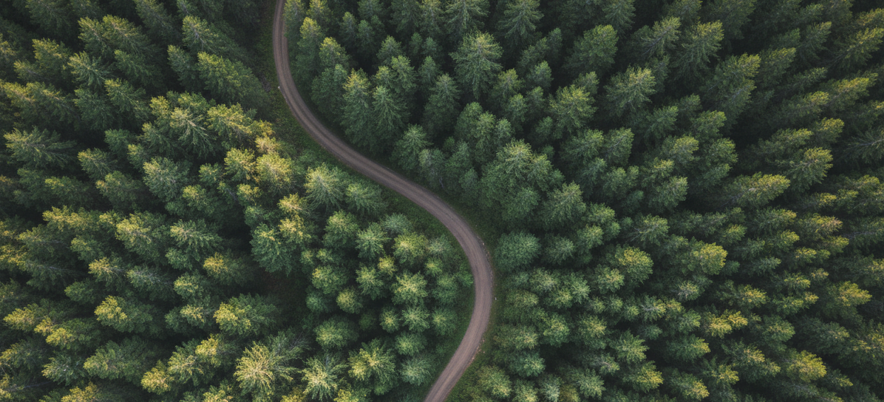 Aerial Forest Road — Sustainability
